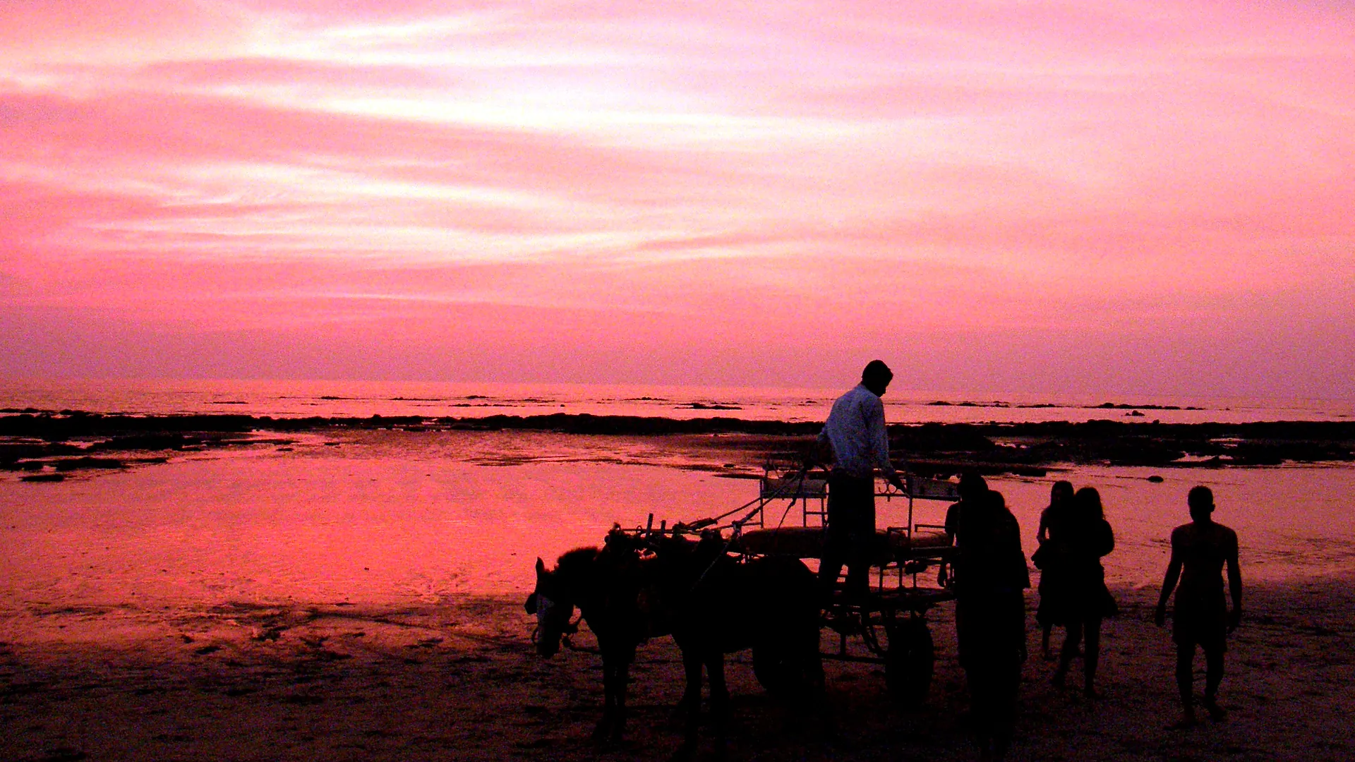 Alibaug Beachfront Glamping & Catamaran Sunset