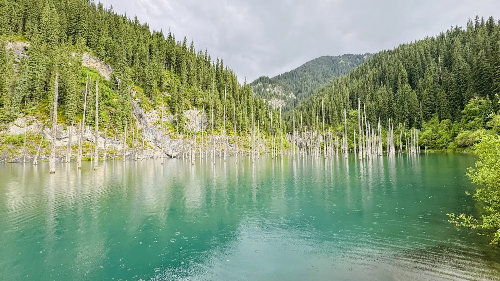 The sunken forest of Kaindy Lake, where spruce trunks rise from turquoise water after a 1911 landslide