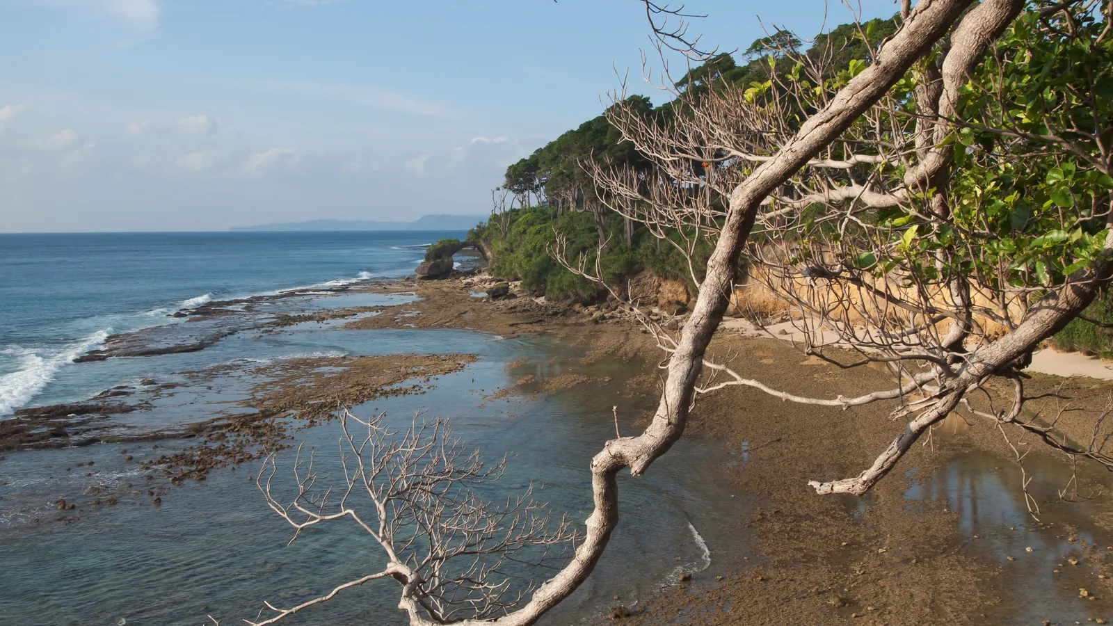 Rocks and tidal pools on the coast of Neil Island in the Andamans