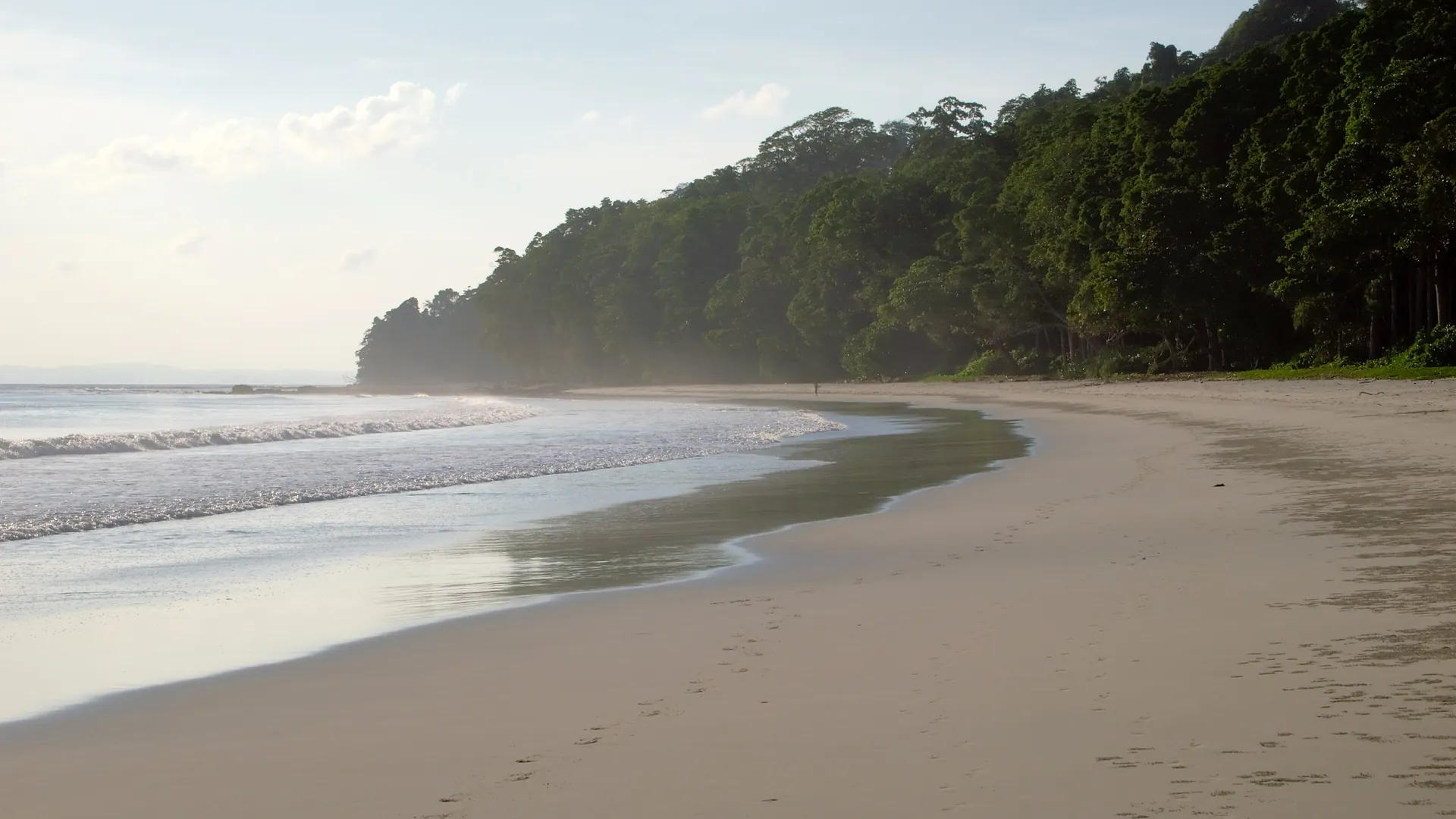 The long white sand of Radhanagar Beach on Havelock Island, framed by tall forest
