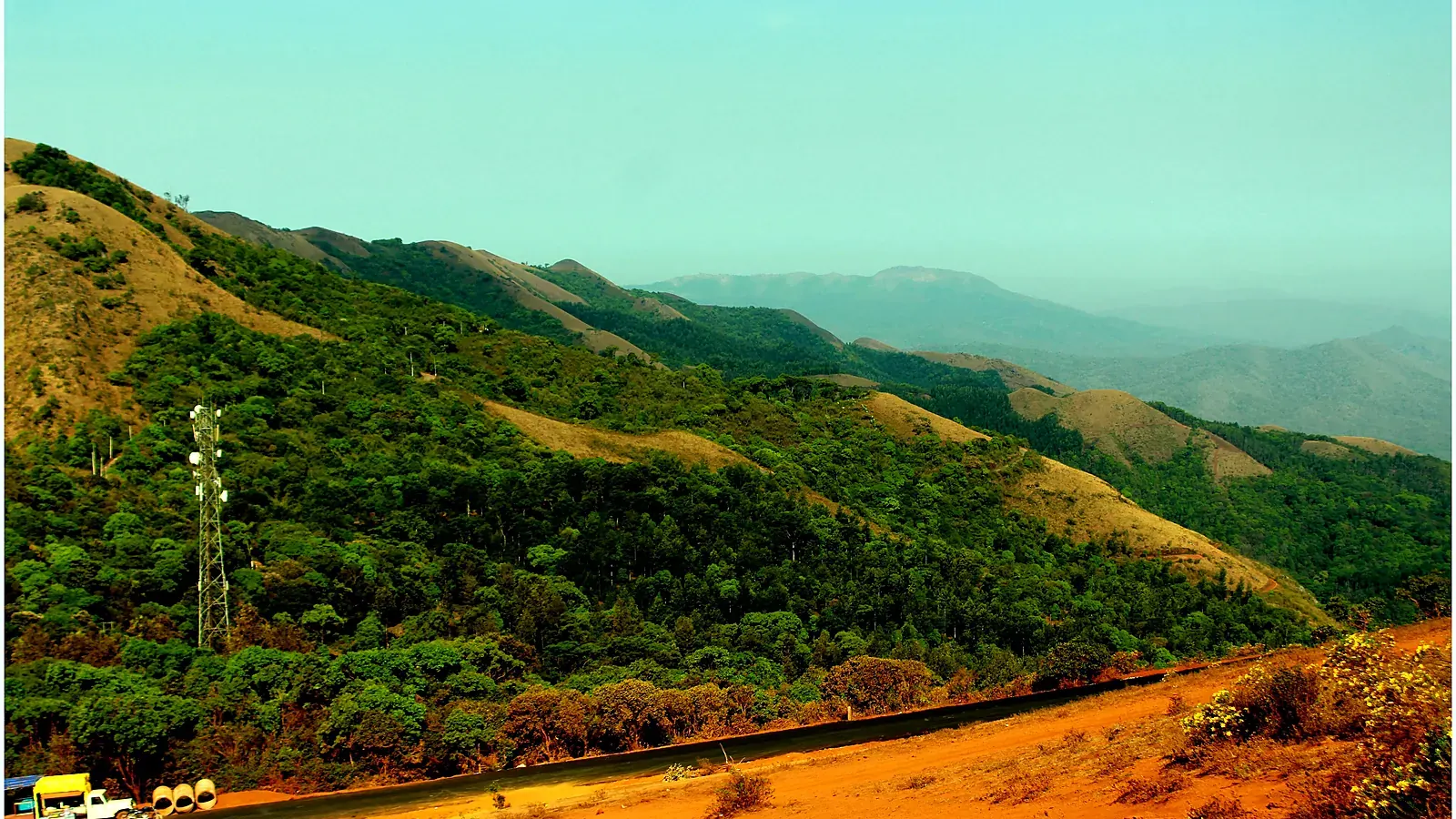 The rolling ridges of the Mullayanagiri range, where grasslands and shola forests meet above the clouds