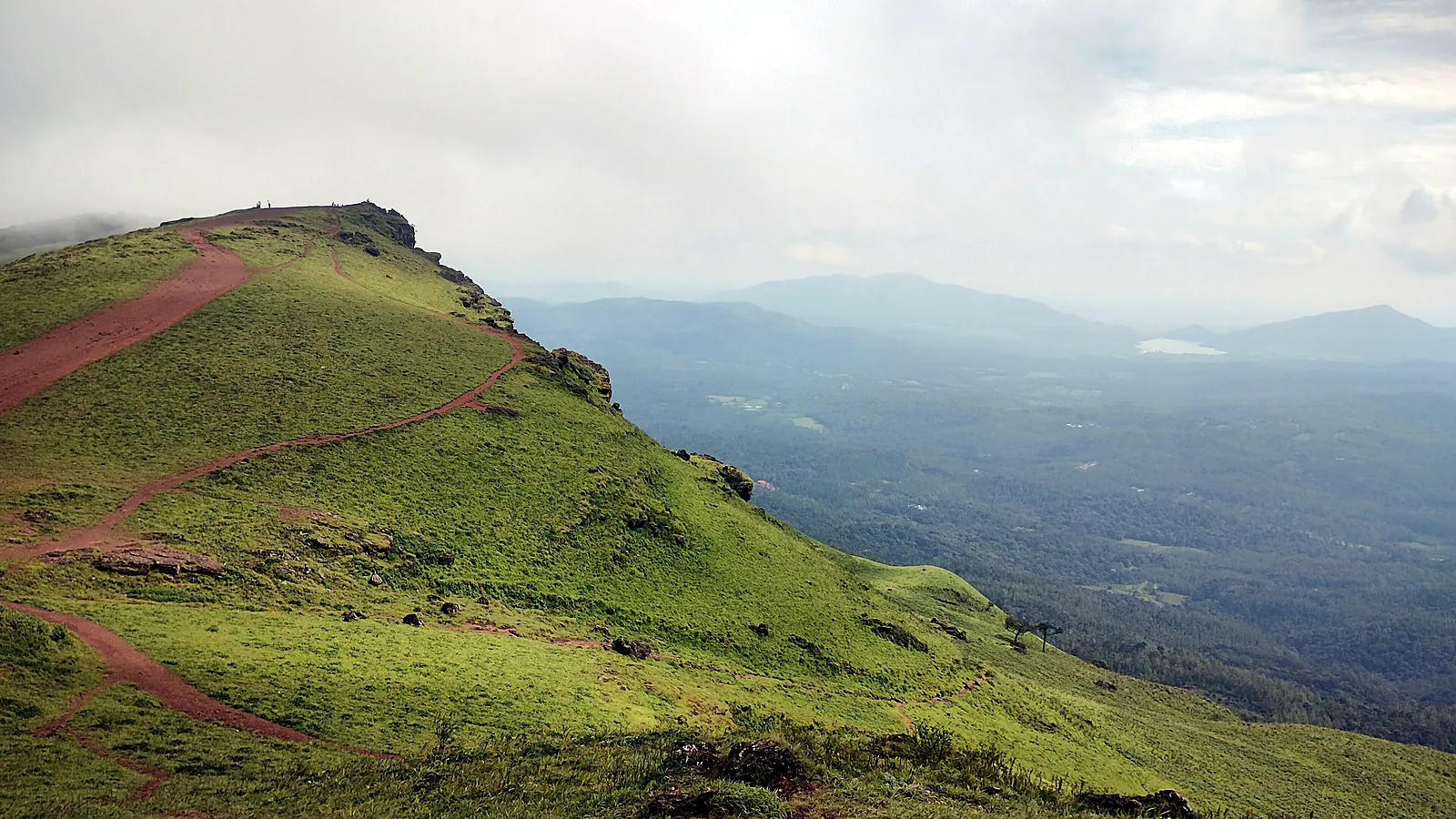 The grassy hills of the Baba Budangiri range, where the story of coffee in India began