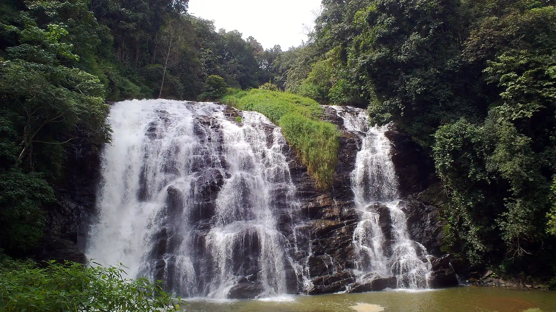 Bangalore to Coorg Coffee Estate & Waterfalls Retreat