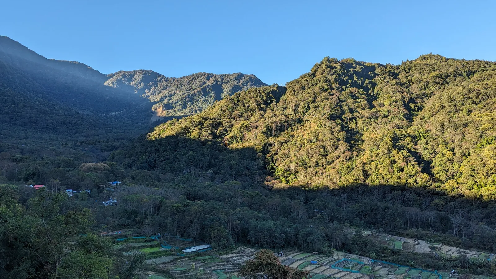 Terraced paddy fields around the village of Khonoma in Nagaland