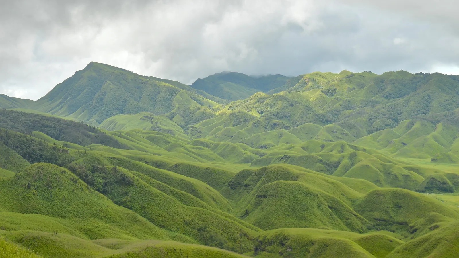 The rolling green hills of Dzukou Valley on the Nagaland-Manipur border