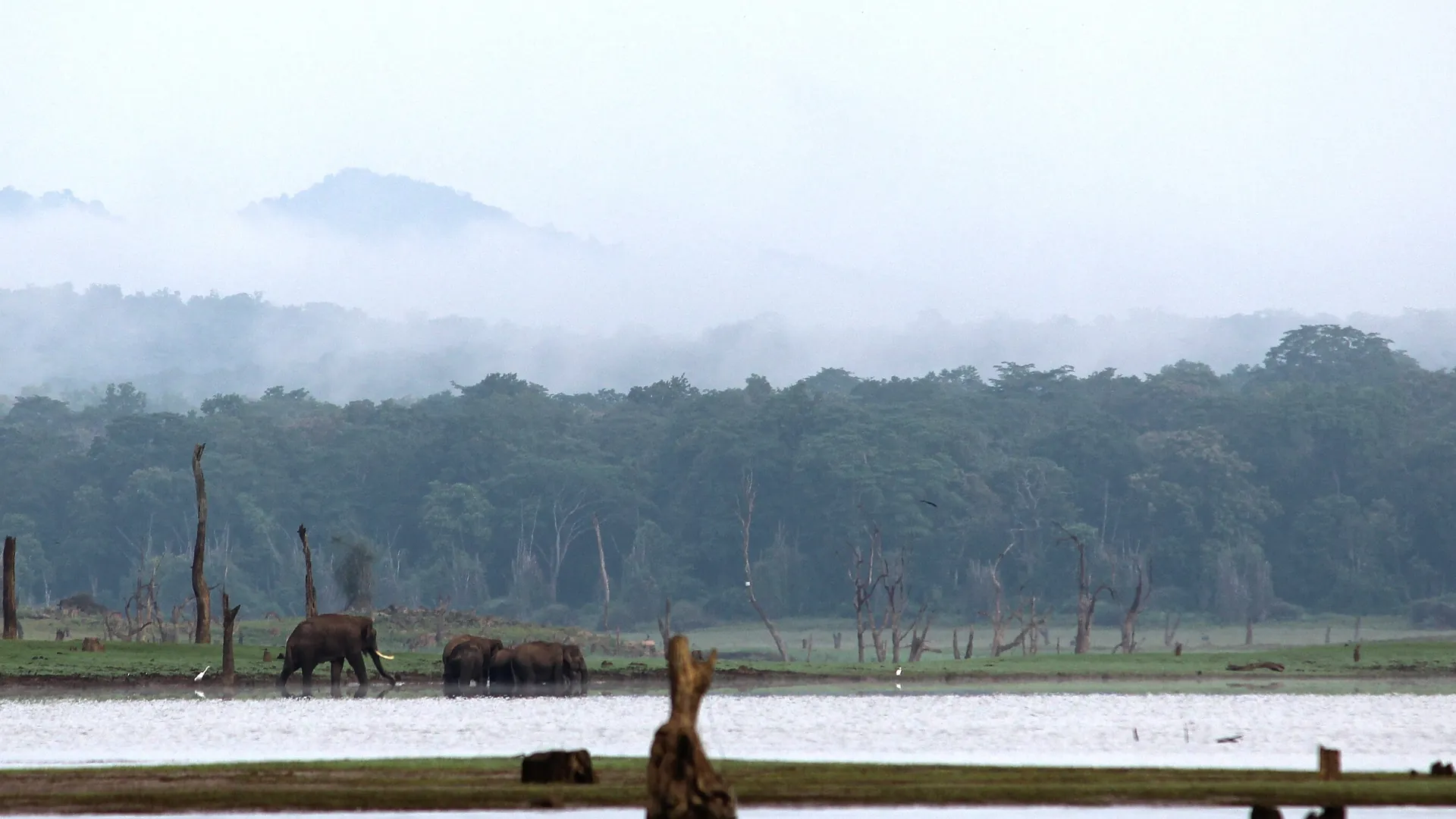 Kabini Luxury Jungle Safari & River Lodge Weekend