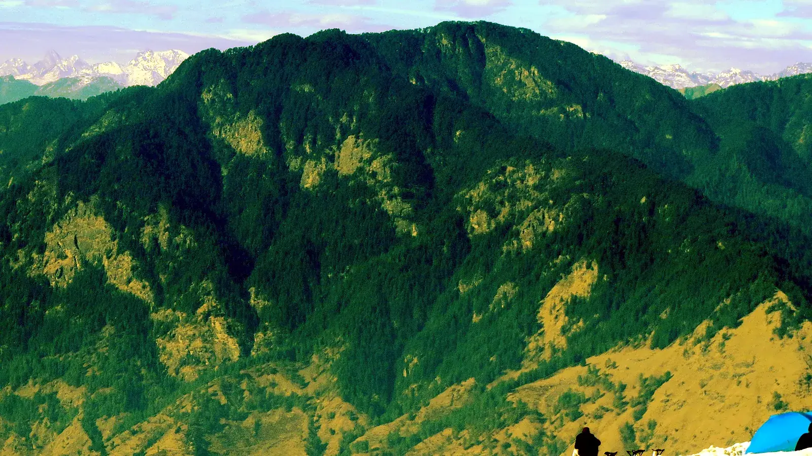 The open snowfields near the Kedarkantha summit, where the forest gives way to wide Himalayan views