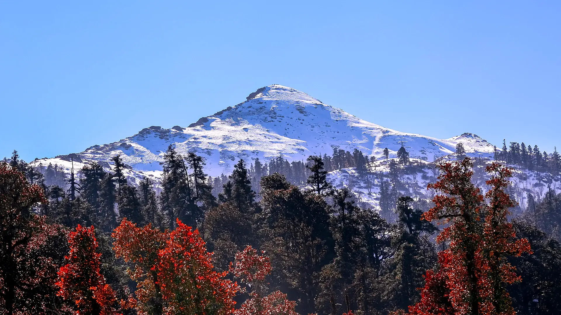 Kedarkantha Winter Snow Summit Trek — Sankri to 12,500 ft Peak