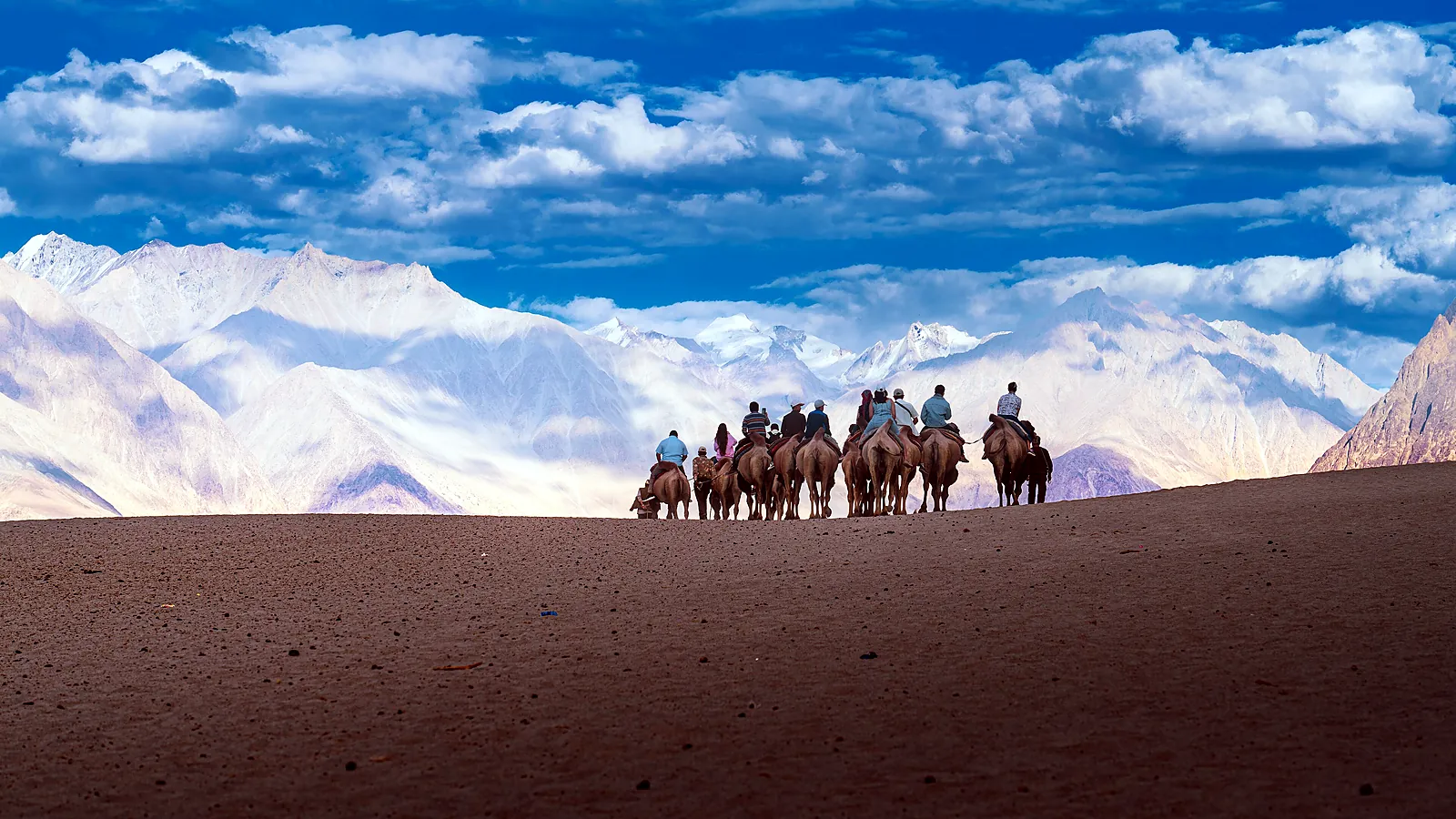 The sand dunes of Hunder in Nubra Valley, a high-altitude desert framed by snow-capped mountains