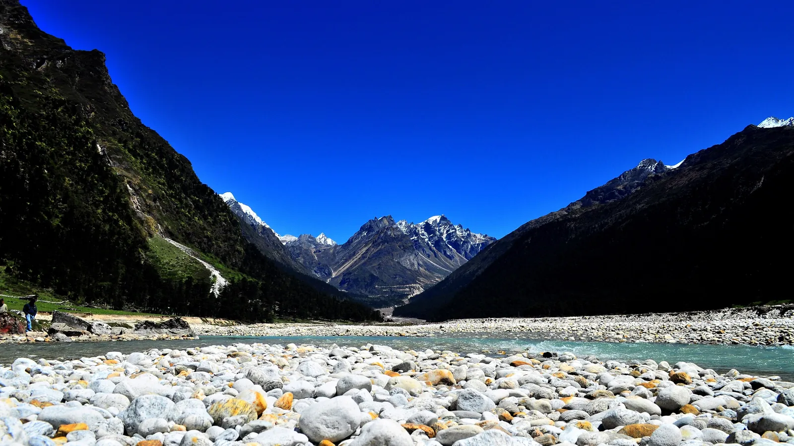 The Yumthang valley in North Sikkim, surrounded by forested mountains