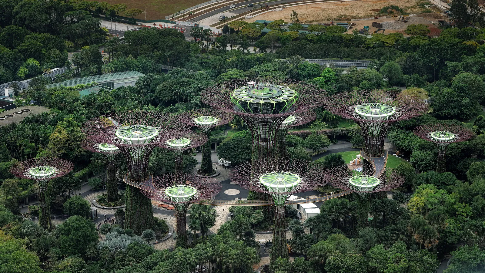 The Supertree Grove at Gardens by the Bay, a forest of vertical gardens that light up every evening