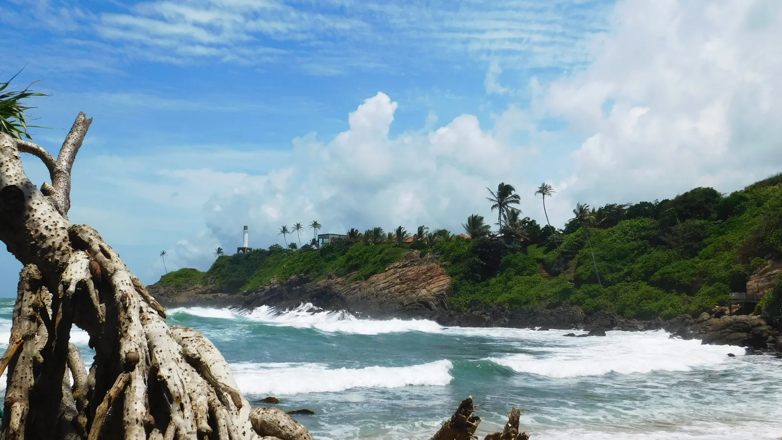 Palm trees and waves on the coast near Mirissa in southern Sri Lanka