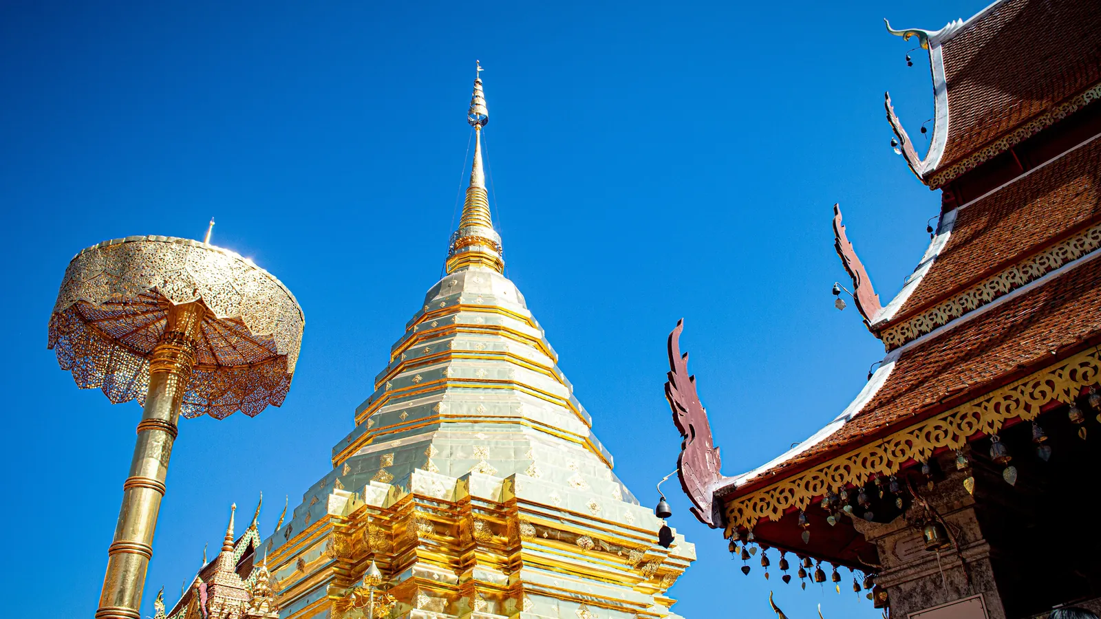 The golden chedi of Wat Phra That Doi Suthep, the hilltop temple overlooking Chiang Mai
