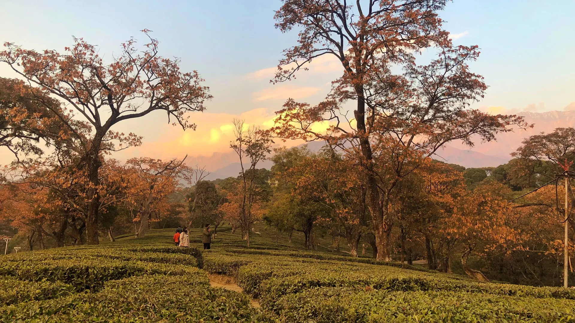 12 Best Workation Destinations in India: Mountains, Beaches and Hill Towns With Good Wi-Fi